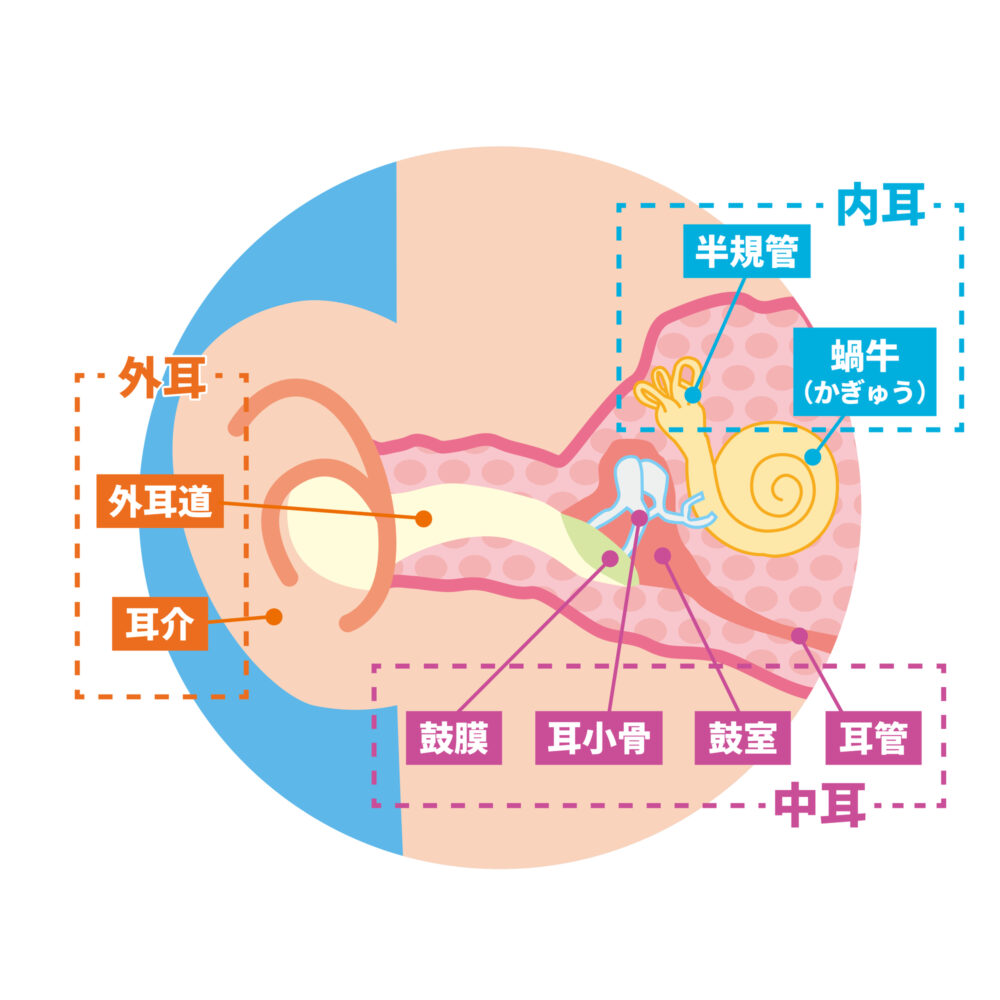 外耳炎とは